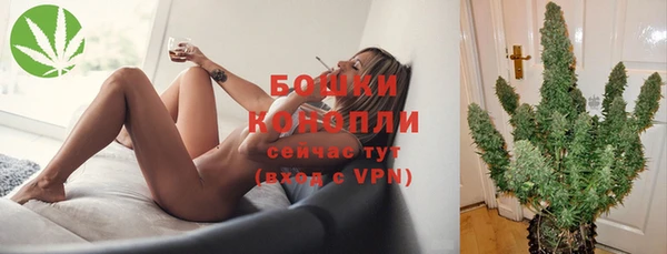 ПСИЛОЦИБИНОВЫЕ ГРИБЫ Алзамай