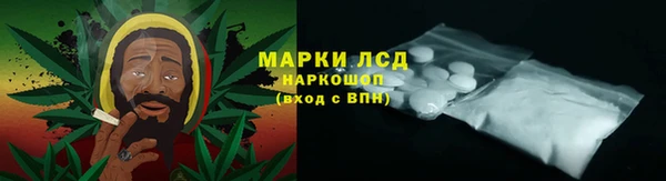 ПСИЛОЦИБИНОВЫЕ ГРИБЫ Алзамай