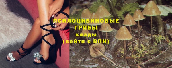 ПСИЛОЦИБИНОВЫЕ ГРИБЫ Алзамай
