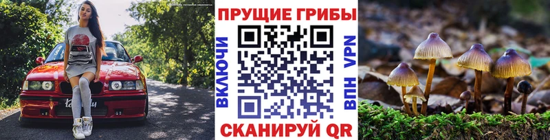 Псилоцибиновые грибы прущие грибы  купить   Анжеро-Судженск 