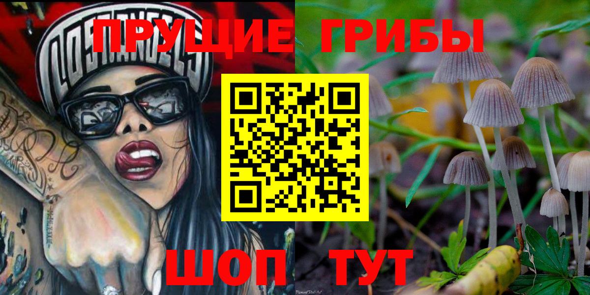 Галлюциногенные грибы Psilocybe Анжеро-Судженск