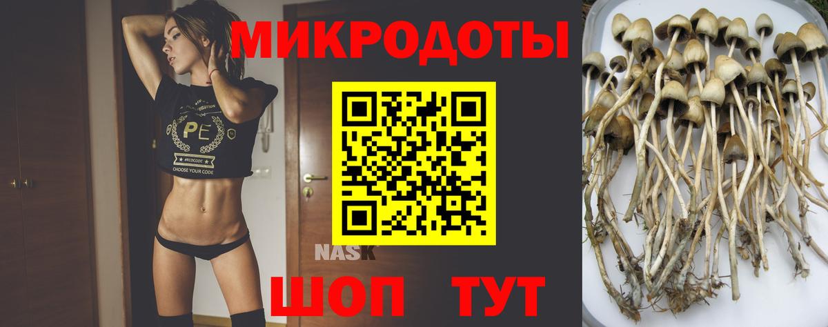 Псилоцибиновые грибы Cubensis  Галлюциногенные грибы Psilocybine cubensis  Вход с VPN  Анжеро-Судженск 