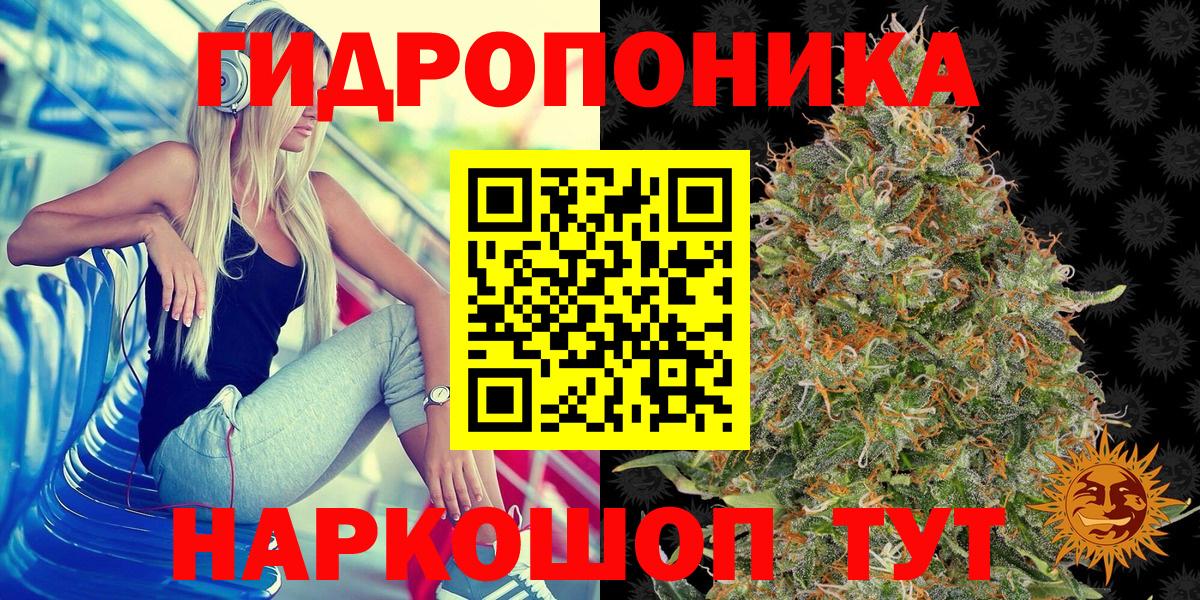 Шишки марихуана гибрид Анжеро-Судженск